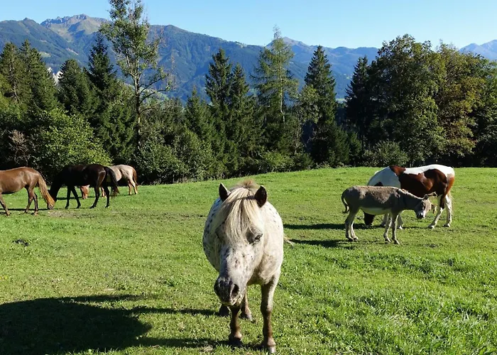 Rossweid Appartamento *