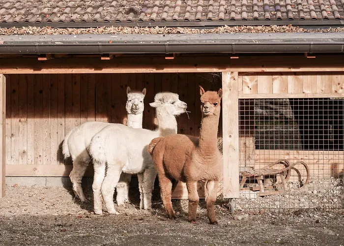 公寓 Rossweid 施坦斯