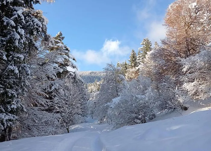 Rossweid Appartamento *