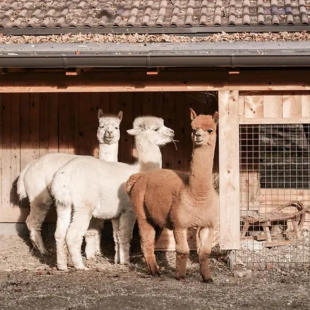 아파트 Rossweid 스탠스