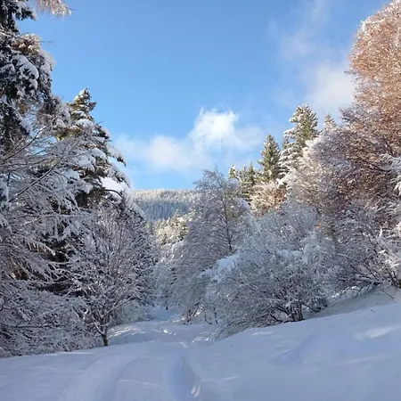 Rossweid 아파트 *